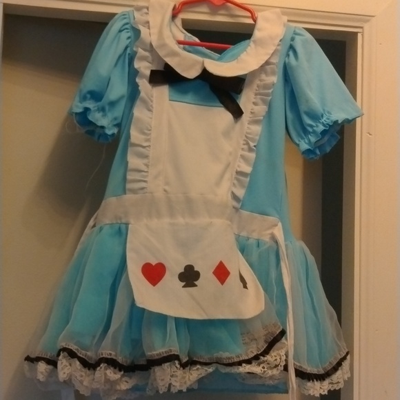 Alice in wonderland costume - Picture 1 of 8